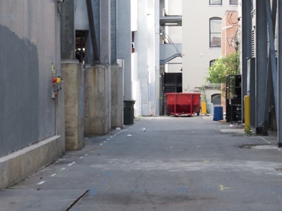 NC Folk Festival photograph 3